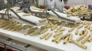 Conveyor Belt for Taquitos Production